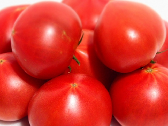 佐賀市・川副の光樹トマト「サンロード」が旨い甘いだけのフルーツトマトじゃない正統派