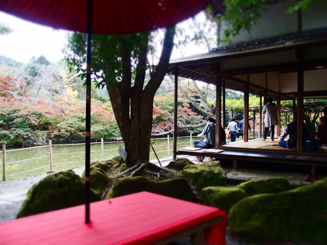 「御船山楽園の紅葉」美しすぎる日本庭園！一生思い出に残る景観。佐賀武雄市の日本庭園