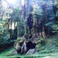 「武雄の大楠」樹齢3000年の巨木！むすびの檜！『武雄神社』パワースポットだわ。