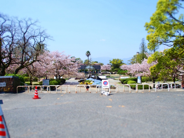 神野公園