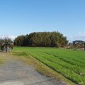 「男島城跡」佐賀白石町にある須古城の支城と須古のレトロな城下町